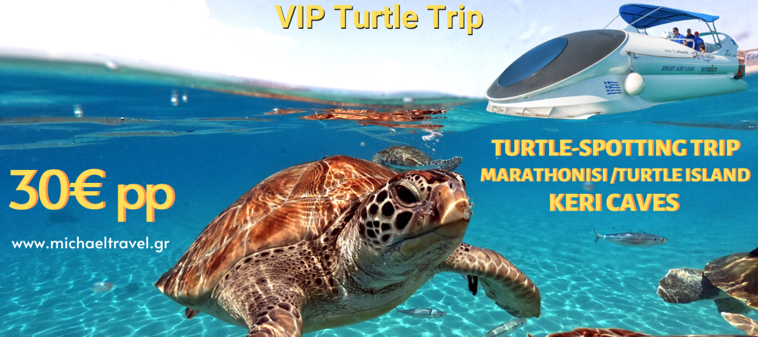 Spot Sea Turtles in Zakynthos-Turtle Spotting