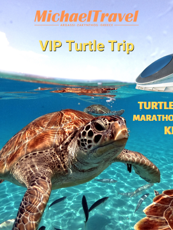 Spot Sea Turtles in Zakynthos-Turtle Spotting