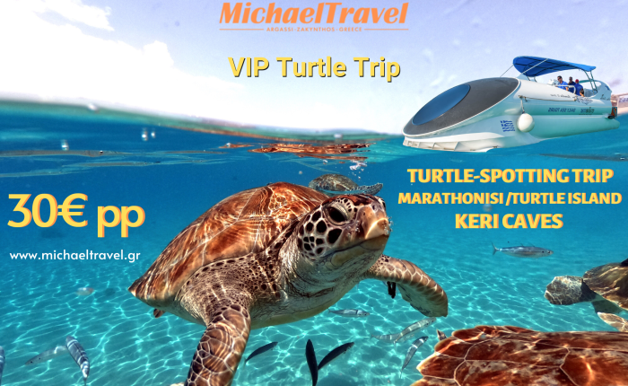 Spot Sea Turtles in Zakynthos-Turtle Spotting