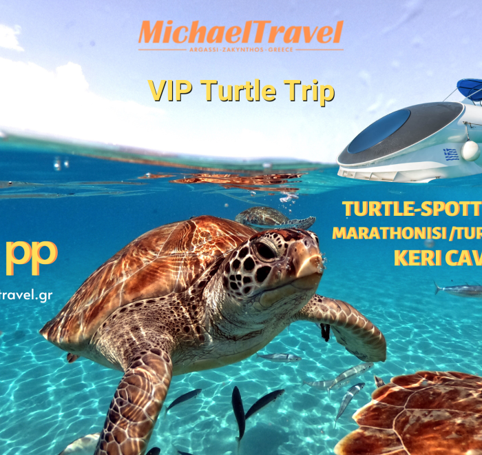 Spot Sea Turtles in Zakynthos-Turtle Spotting