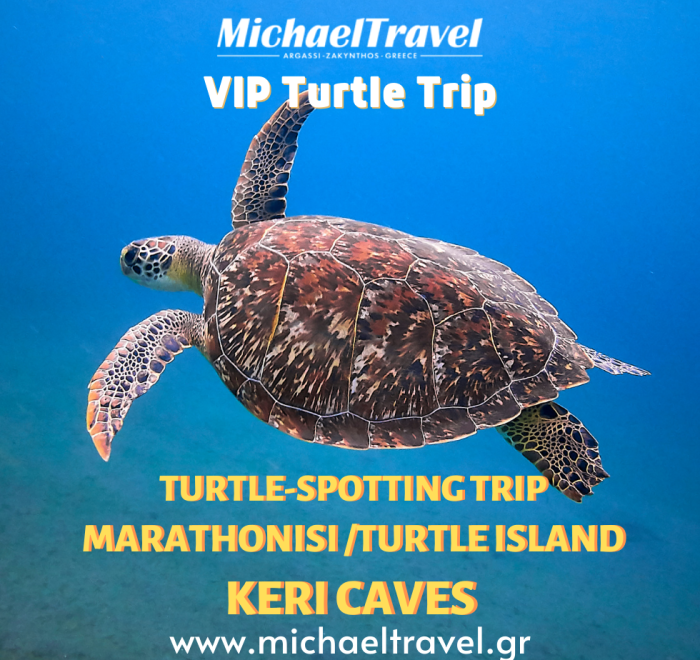 Avvista le tartarughe marine a Zante: avvistamento di tartarughe